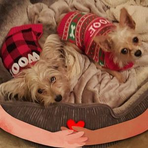 Meet your Posher, Janice